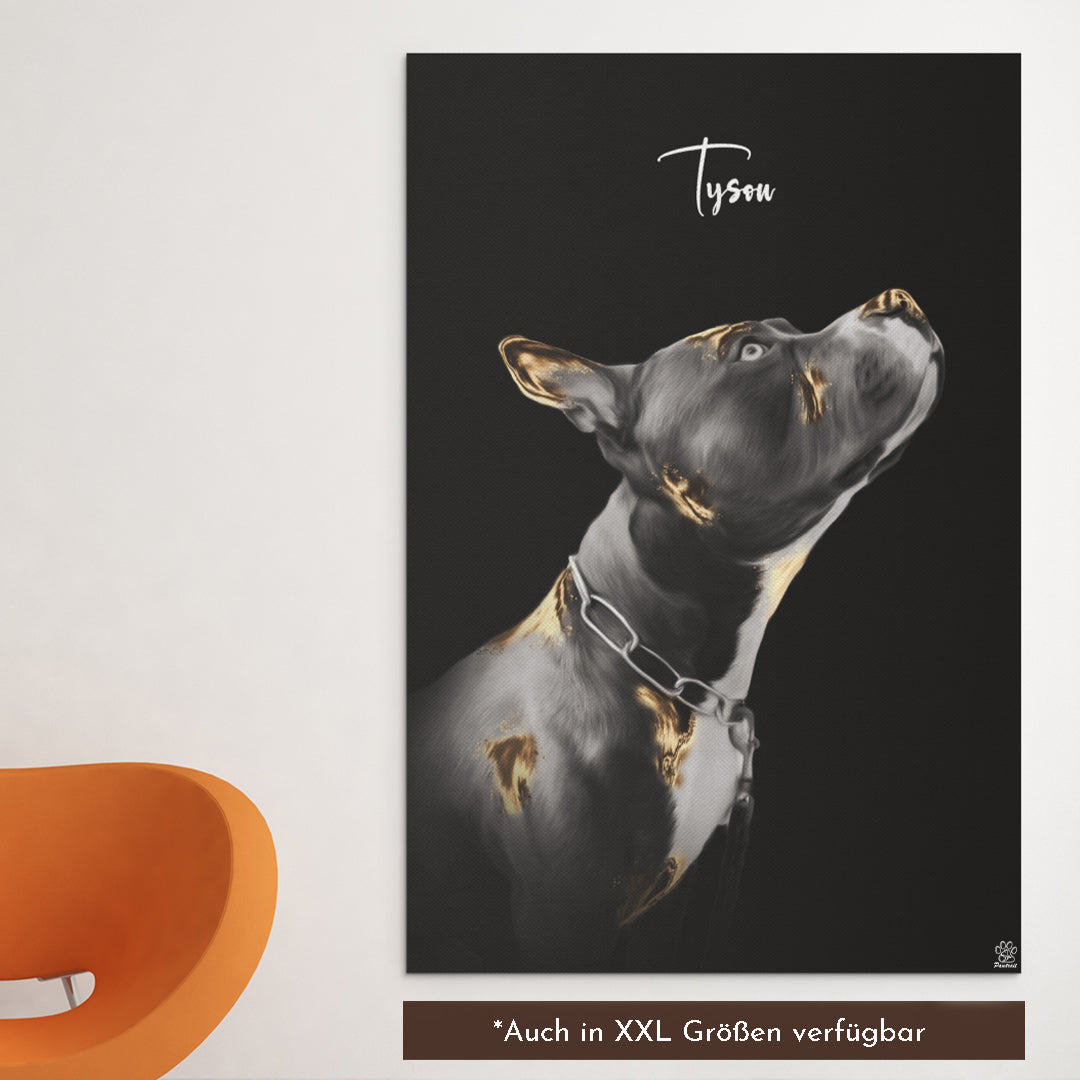 Gold Touch PetCasso - Celestial Couture