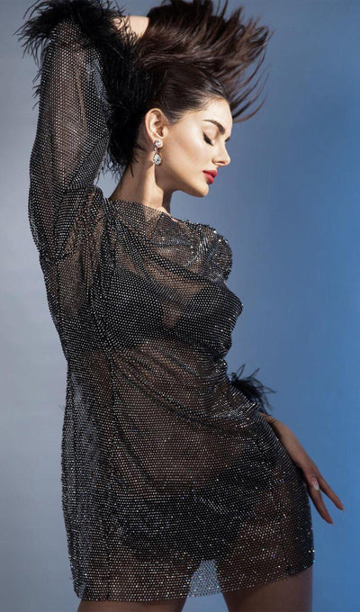 Sheer Rhinestone Mini Dress