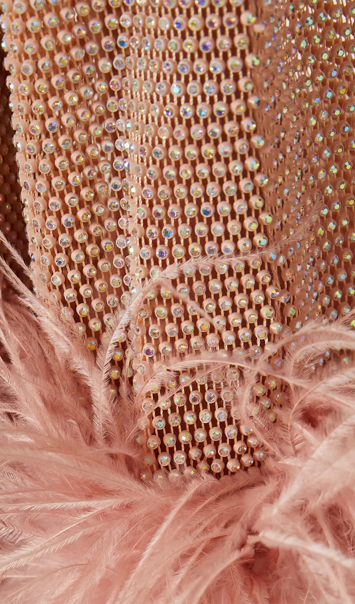 Sheer Rhinestone Mini Dress - Celestia Couture