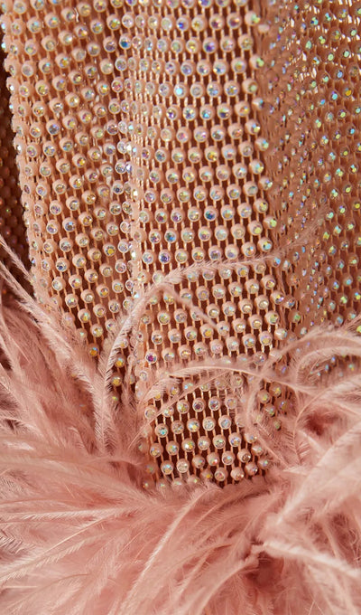 Sheer Rhinestone Mini Dress