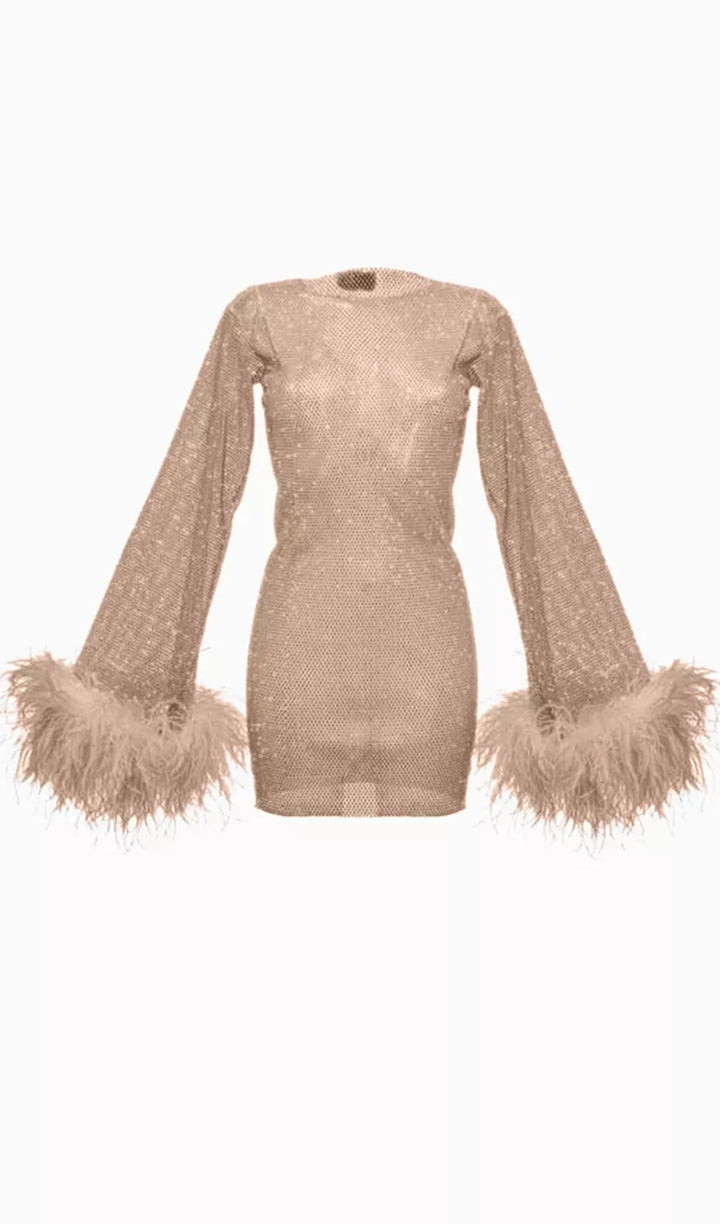 Sheer Rhinestone Mini Dress - Celestia Couture