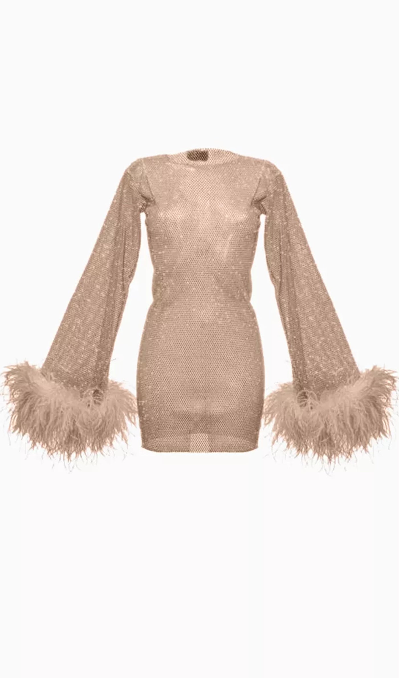 Sheer Rhinestone Mini Dress