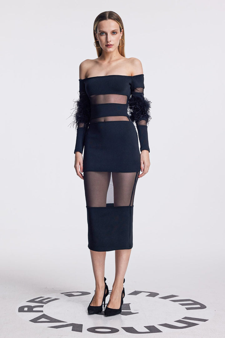 Amber Mesh Deconstruct Feather Maxi Dress In Black - Celestia Couture