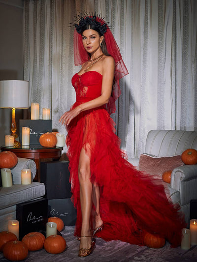 Dorothy Tulle Maxi Dress In Red - Celestial Couture