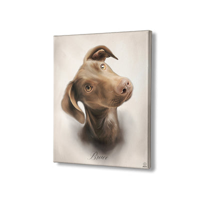 Oil PetCasso - Celestial Couture