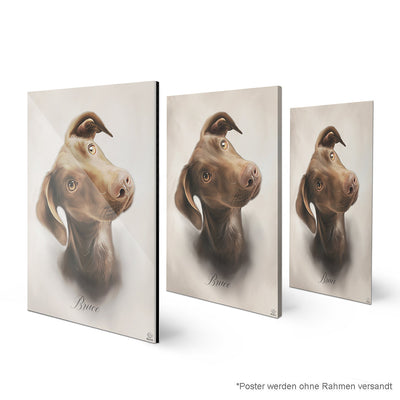 Oil PetCasso - Celestial Couture