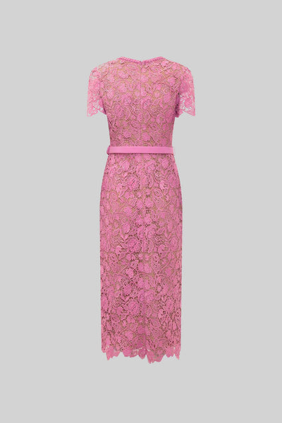 Exquisite Short Sleeve Lace Midi Dress - Rose