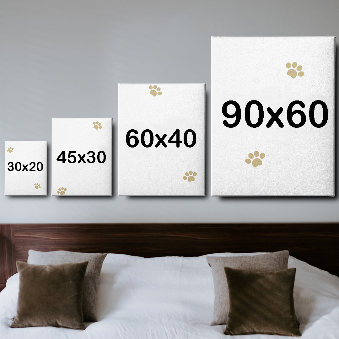 Oil PetCasso - Celestial Couture