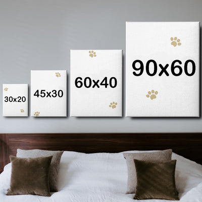 Oil PetCasso - Celestial Couture