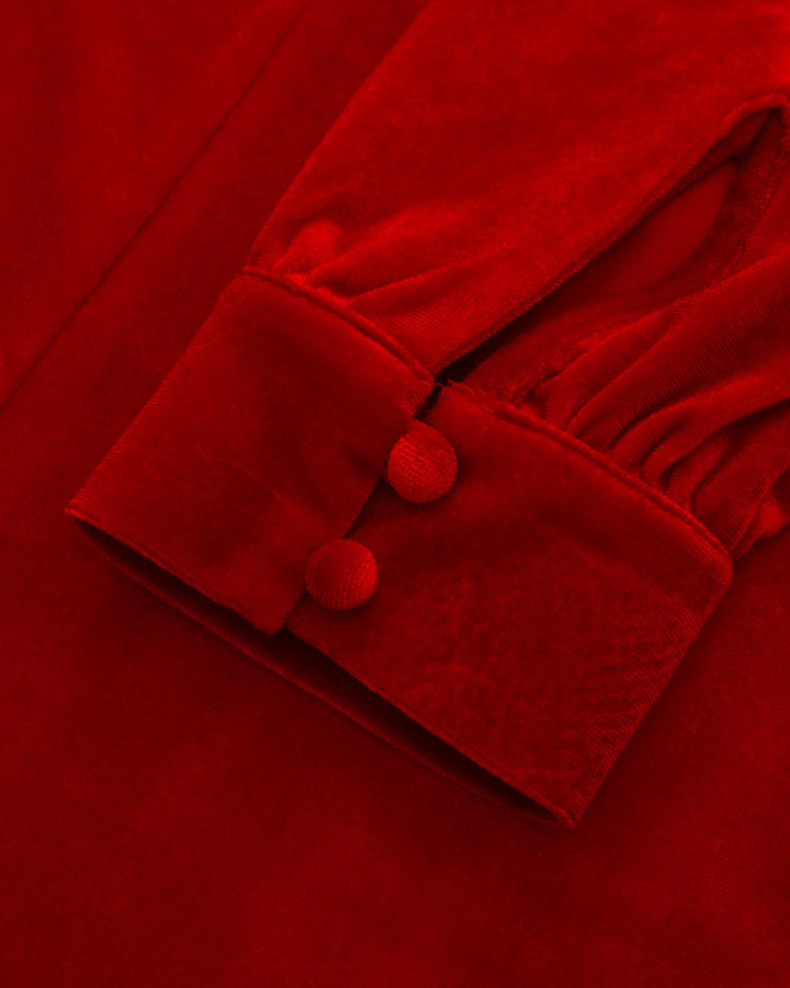 Red Velvet Puffed Sleeve A-Line Mini Dress